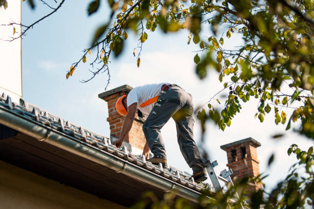Best Storm Damage Roof Repair  in Elk Mound, WI