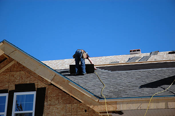 Best Metal Roofing Contractor  in Elk Mound, WI