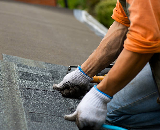 Best Roof Waterproofing Services  in Elk Mound, WI