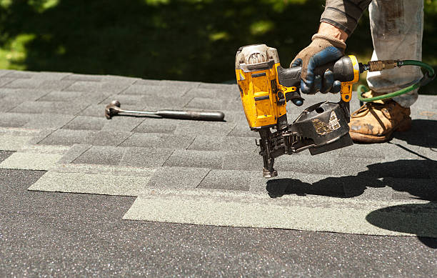 Best Roof Gutter Cleaning  in Elk Mound, WI