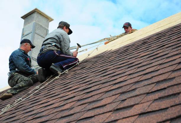 Best Roof Leak Repair  in Elk Mound, WI