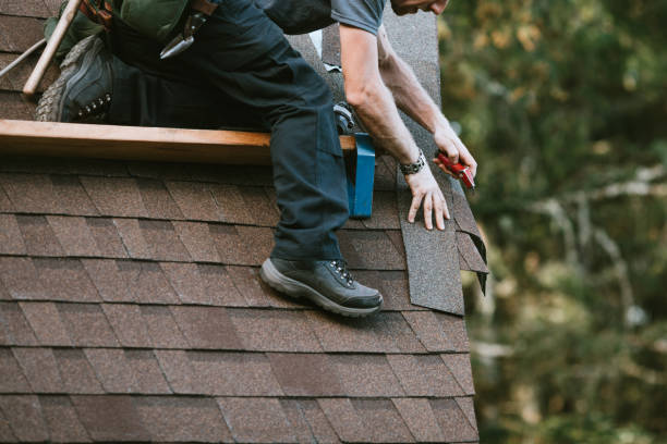 Best Roof Maintenance Services  in Elk Mound, WI
