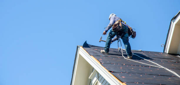 Best Best Roofing Contractors  in Elk Mound, WI